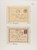 Lot 5462 (12)