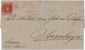 Lot 5411
