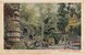Lot 5506 (2)