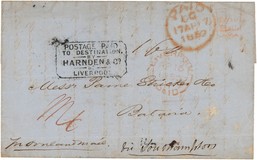 Lot 5528
