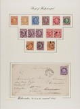 Lot 5458