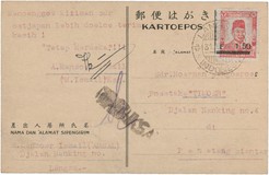 Lot 5675