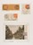 Lot 5703 (20)