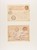 Lot 5704 (9)