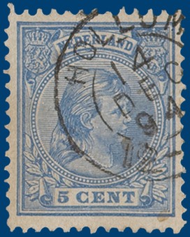 Kavel 2438