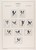 Kavel 1075 (21)