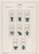 Kavel 1075 (63)