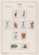 Kavel 1075 (72)