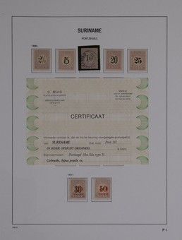 Kavel 3645
