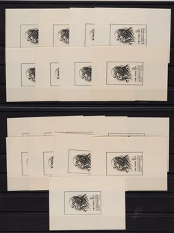 Lot 1080