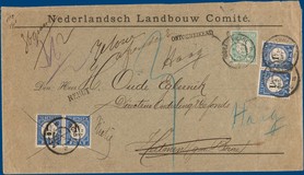 Lot 2134