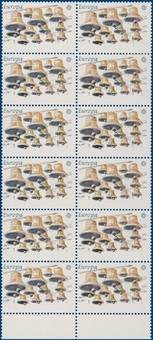 Kavel 3204