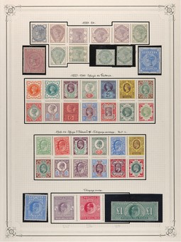 Kavel 1206