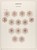 Kavel 3572 (3)