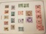 Kavel 1256 (51)