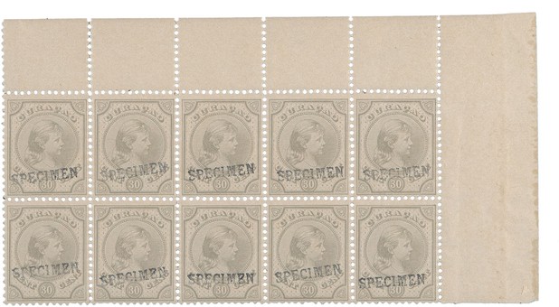 Kavel 3363