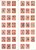 Lot 5919 (11)