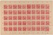 Kavel 6257 (2)