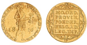 Lot 255