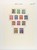Lot 6556 (5)