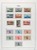 Lot 1358 (4)