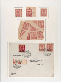 Kavel 6651