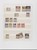 Lot 6689 (19)