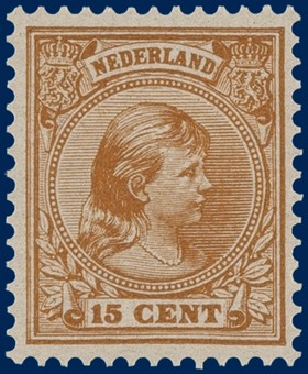 Kavel 3111