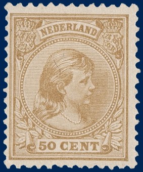 Kavel 3116