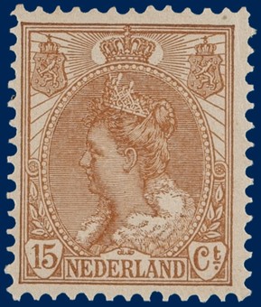 Kavel 3137