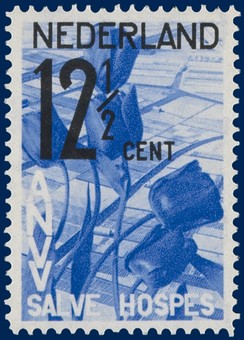 Kavel 3205