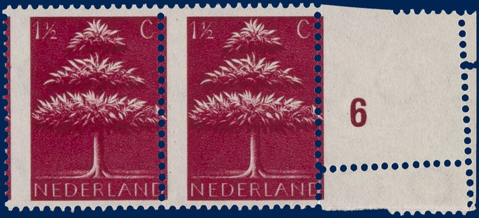 Kavel 3207