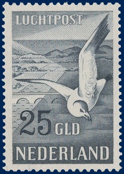 Kavel 3309