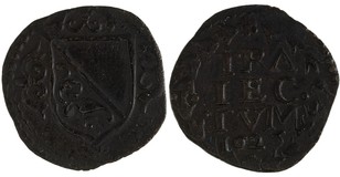 Kavel 243