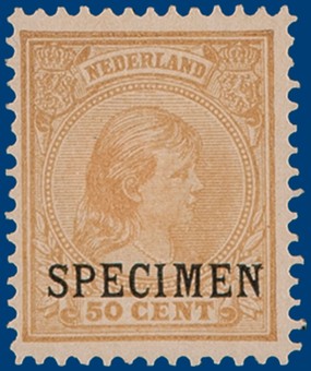 Kavel 2295