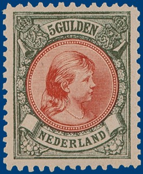 Kavel 2338