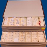 Lot 3119