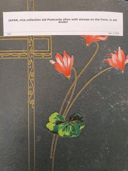 Kavel 263