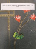 Lot 263