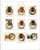 Kavel 1362 (37)
