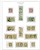 Kavel 1362 (90)