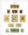Kavel 1362 (91)
