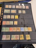 Lot 1238