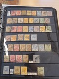 Lot 1311