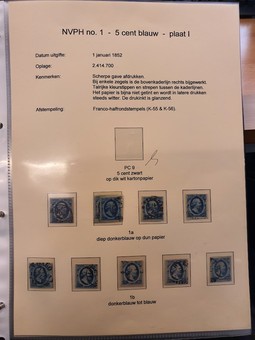 Kavel 3006