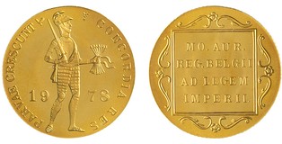 Lot 502