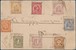 Lot 7072 (3)