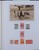 Lot 7094 (26)