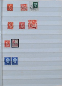 Lot 7101