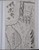 Kavel 7104 (17)